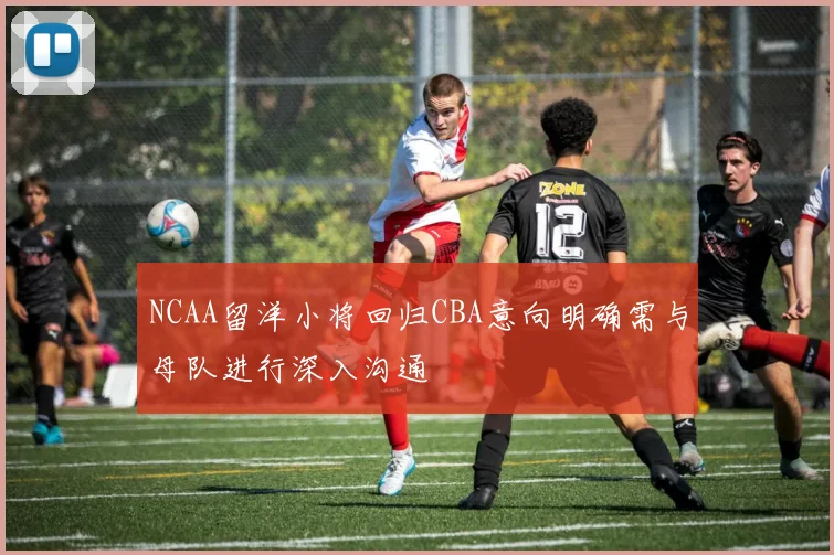 NCAA留洋小将回归CBA意向明确需与母队进行深入沟通