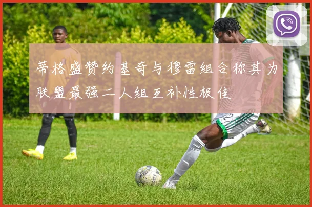 蒂格盛赞约基奇与穆雷组合称其为联盟最强二人组互补性极佳