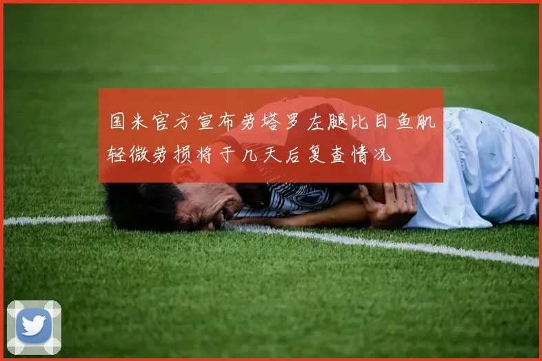 国米官方宣布劳塔罗左腿比目鱼肌轻微劳损将于几天后复查情况